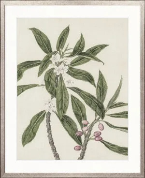 Hasting Native III by Designer Boys, a Premium Art for sale on Style Sourcebook