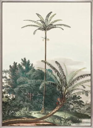 Vintage Palm Study III (Canvas) by Designer Boys, a Premium Art for sale on Style Sourcebook