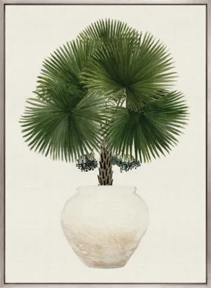 Palm Beauty IV (Canvas) by Designer Boys, a Premium Art for sale on Style Sourcebook