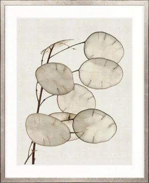 Kivu Seedpods III by Designer Boys, a Premium Art for sale on Style Sourcebook