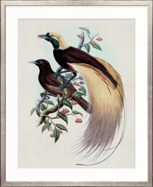 Birds in Paradise IV by Designer Boys, a Premium Art for sale on Style Sourcebook