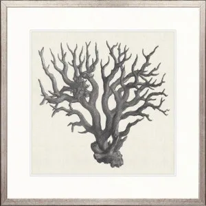 Natural Coral IV by Designer Boys, a Premium Art for sale on Style Sourcebook