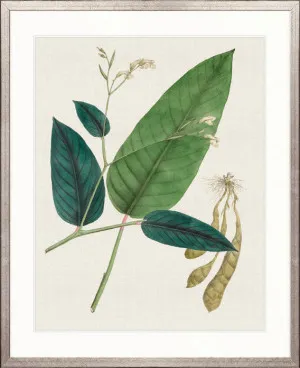 Exotic Garden VI by Designer Boys, a Premium Art for sale on Style Sourcebook