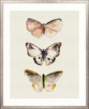 Butterfly Trio V by Designer Boys, a Premium Art for sale on Style Sourcebook