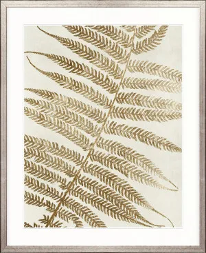 Herbarium V by Designer Boys, a Premium Art for sale on Style Sourcebook