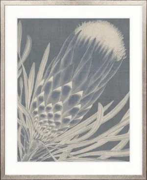 Protea Silhouette I by Designer Boys, a Premium Art for sale on Style Sourcebook