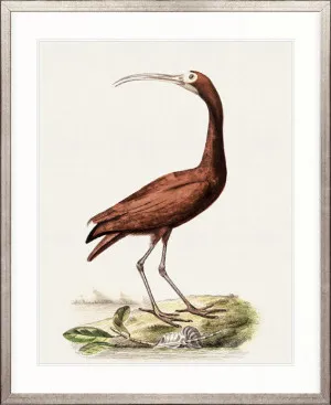 Waterbirds II by Designer Boys, a Premium Art for sale on Style Sourcebook