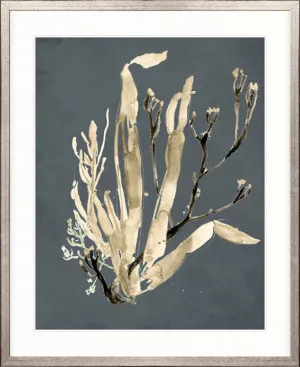 Margate Coral VIII by Designer Boys, a Premium Art for sale on Style Sourcebook
