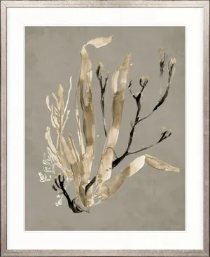Margate Coral V by Designer Boys, a Premium Art for sale on Style Sourcebook