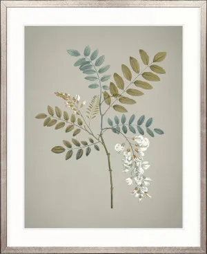 Kettering Foliage II by Designer Boys, a Premium Art for sale on Style Sourcebook