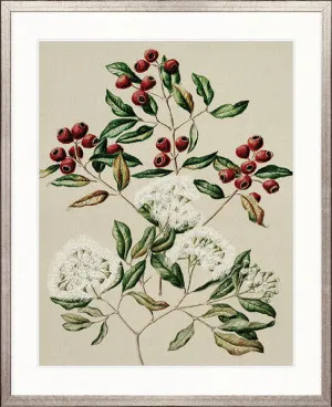 Coastal Native III by Designer Boys, a Premium Art for sale on Style Sourcebook