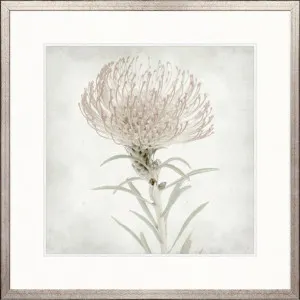Protea Beauty III by Designer Boys, a Premium Art for sale on Style Sourcebook
