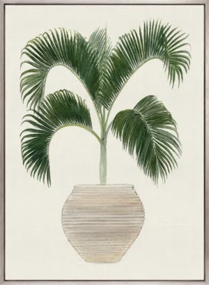 Palm Beauty III (Canvas) by Designer Boys, a Premium Art for sale on Style Sourcebook