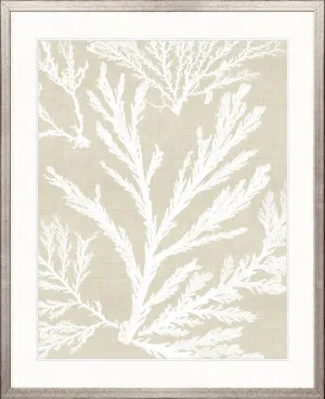 Seaweed Harmony VI by Designer Boys, a Premium Art for sale on Style Sourcebook
