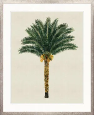 Kebaya Palm XII by Designer Boys, a Premium Art for sale on Style Sourcebook