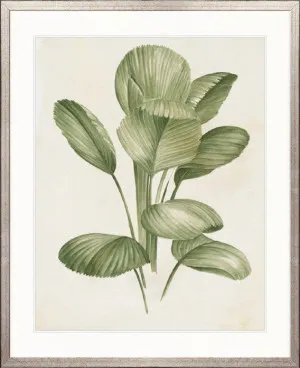 Soft Anaya Palm I by Designer Boys, a Premium Art for sale on Style Sourcebook