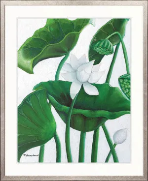 Evergreen Foliage V by Designer Boys, a Premium Art for sale on Style Sourcebook