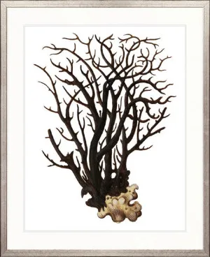 Exotic Coral IV by Designer Boys, a Premium Art for sale on Style Sourcebook