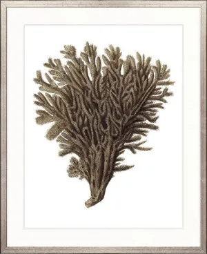 Exotic Coral III by Designer Boys, a Premium Art for sale on Style Sourcebook