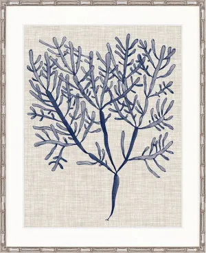 Delicate Seaweed III by Designer Boys, a Premium Art for sale on Style Sourcebook