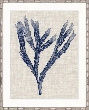 Delicate Seaweed II by Designer Boys, a Premium Art for sale on Style Sourcebook