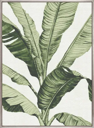 Tranquil Tropics III (Canvas) by Designer Boys, a Premium Art for sale on Style Sourcebook