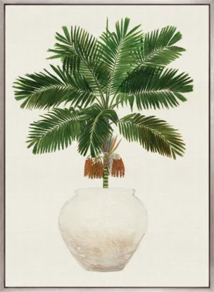 Palm Beauty II (Canvas) by Designer Boys, a Premium Art for sale on Style Sourcebook