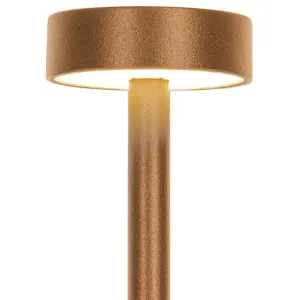Zambelis Xander Weatherproof Outdoor LED Garden Spike Light - Brown by Zambelis Lights, a Outdoor Lighting for sale on Style Sourcebook
