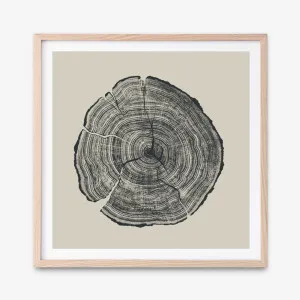 Hand-Drawn Oak (Square) Art Print by The Print Emporium, a Prints for sale on Style Sourcebook