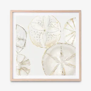 Sea Patterns I (Square) Art Print by The Print Emporium, a Prints for sale on Style Sourcebook