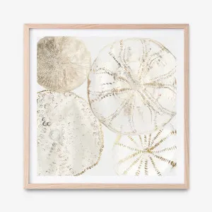 Sea Patterns II (Square) Art Print by The Print Emporium, a Prints for sale on Style Sourcebook