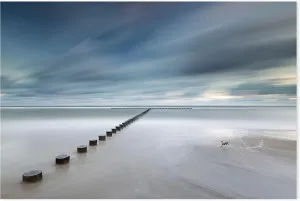 T, by Rafal R. Nebelski by Gioia Wall Art, a Prints for sale on Style Sourcebook