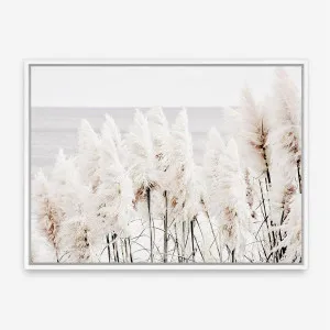 Pampas Grass Photo Canvas Print by The Print Emporium, a Prints for sale on Style Sourcebook