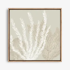 Coastal Reef V (Square) Canvas Print by The Print Emporium, a Prints for sale on Style Sourcebook