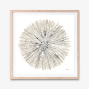 Nature's Pinwheel I (Square) Art Print by The Print Emporium, a Prints for sale on Style Sourcebook