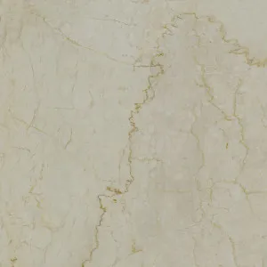 Marmorea Botticino HiLite Silk Tile by Beaumont Tiles, a Marble Look Tiles for sale on Style Sourcebook