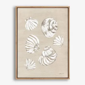 Beach Treasures II Canvas Print by The Print Emporium, a Prints for sale on Style Sourcebook