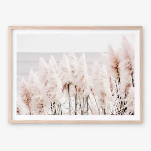 Pampas Grass II Photo Art Print by The Print Emporium, a Prints for sale on Style Sourcebook