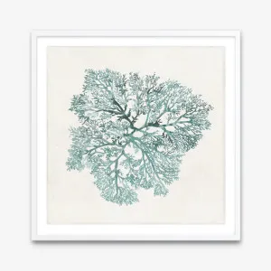 Teal Coral I (Square) Art Print by The Print Emporium, a Prints for sale on Style Sourcebook