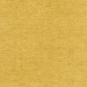 Parker Gold by Wortley Group, a Fabrics for sale on Style Sourcebook