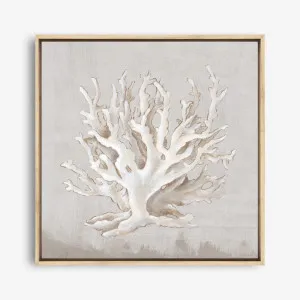 Neutral Shells IV (Square) Canvas Print by The Print Emporium, a Prints for sale on Style Sourcebook
