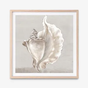 Neutral Shells III (Square) Art Print by The Print Emporium, a Prints for sale on Style Sourcebook