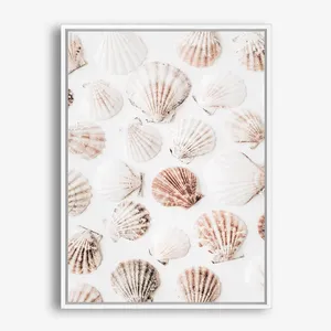 Seashells I Photo Canvas Print by The Print Emporium, a Prints for sale on Style Sourcebook