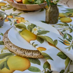 Set/4 Citrus Grove Napkin Set by Madras Link, a Napkins for sale on Style Sourcebook