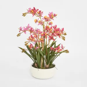 Deluxe Potted Cycnoches Orchid by Florabelle Living, a Decorative Accessories for sale on Style Sourcebook