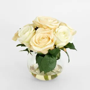 Rose in Water Cream by Florabelle Living, a Plants for sale on Style Sourcebook