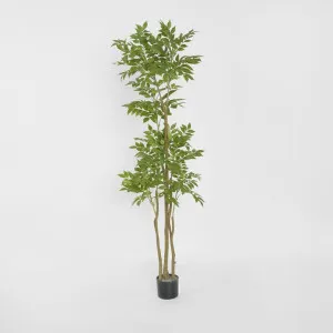 Japanese Lacquer Tree by JMC FLORALS, a Lighting for sale on Style Sourcebook