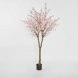 Cherry Blossom Tree 190cm Pink by JMC FLORALS, a Lighting for sale on Style Sourcebook