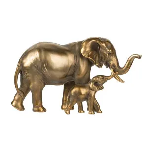 Nairobi Elephant Ornaments by Florabelle Living, a Statues & Ornaments for sale on Style Sourcebook