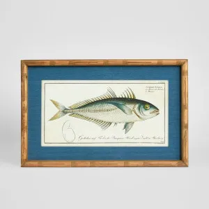 Oceanic Study 1 Wall Art 60x32cm by Florabelle Living, a Christmas for sale on Style Sourcebook